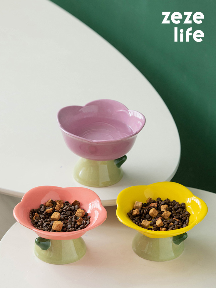 Gradient Color Elevated Cat Bowls - Zezelife