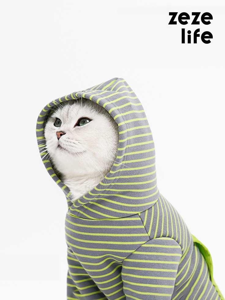 Одежда для котят фото, одежда для котят интернет магазин, одежда для котят купить
