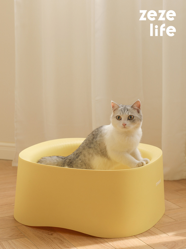 Katzenstreumatte für den Pool – ZezeLife