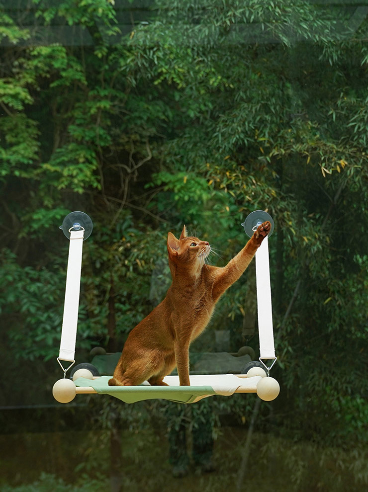 Hamaca para gatos con ventana de madera - ZezeLife