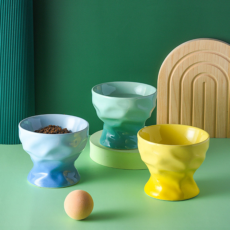 Multicolor Ceramics Elevated Cat Bowls - Zezelife