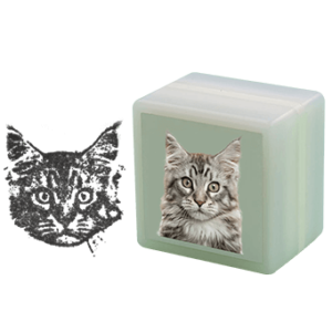 ZezeLife Katzenzubehör – Färben Sie das Glück Ihrer Katze