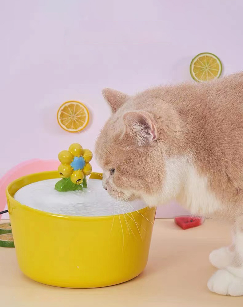Fuente de agua de gato de flor amarilla