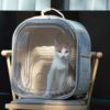 Square Clear Cat Carrier