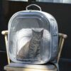Square Clear Cat Carrier