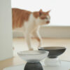 White & Black Glass Cat Bowls