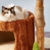 Luxury Tree Hollow Series Cat Tree