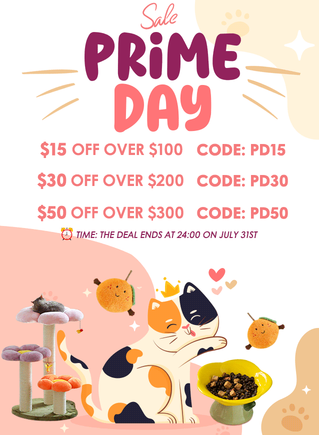 zezelife prime day sale