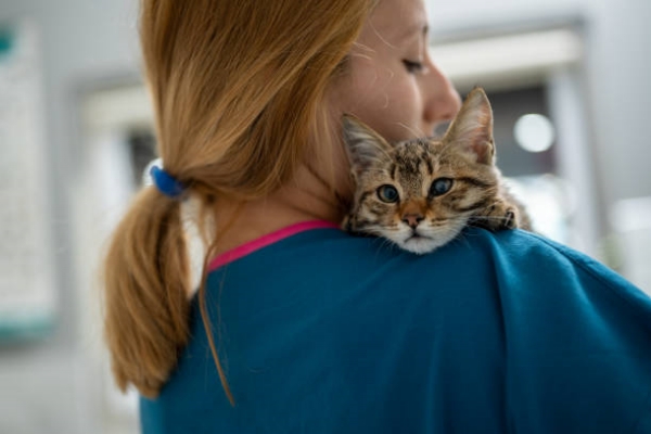 A young female vet holding an injured kitten by her left eye during examining.